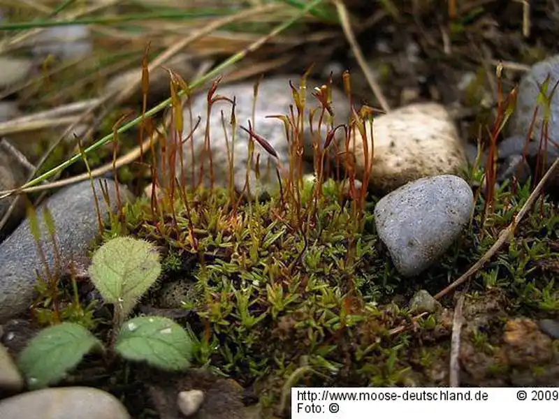 Habitus | Foto von Michael Lüth