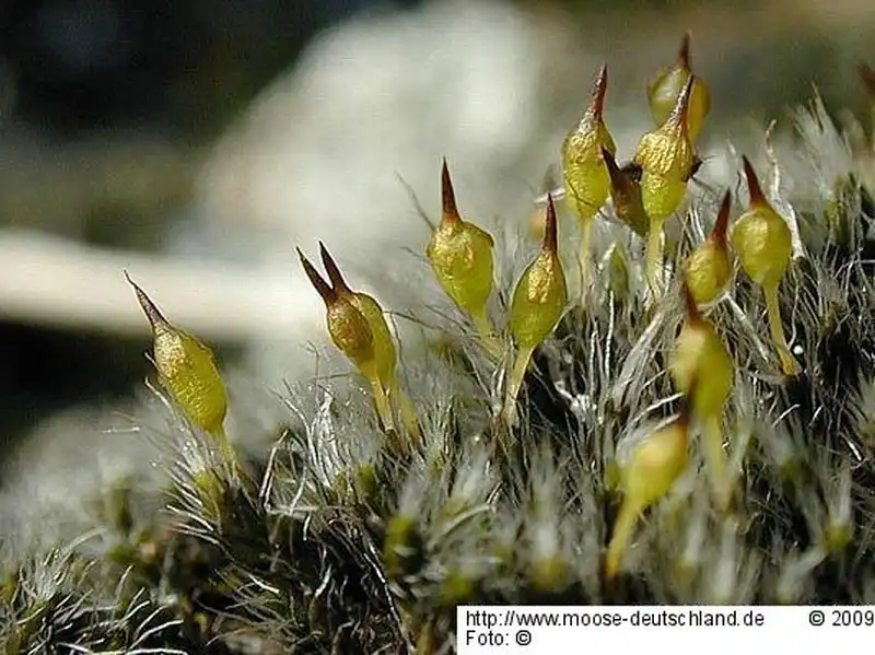 Habitus | Foto von Michael Lüth