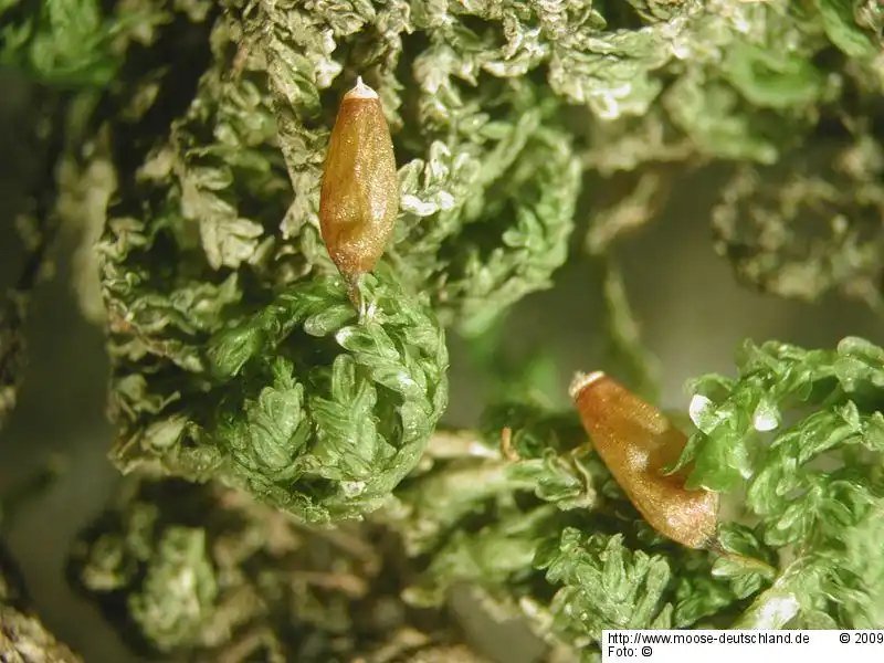 Habitus | Foto von Michael Lüth
