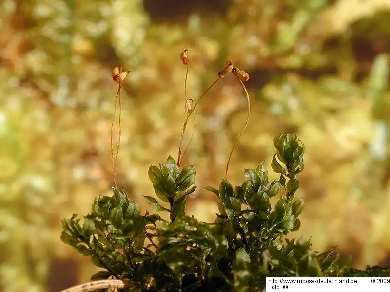 Habitus | Foto von Michael Lüth