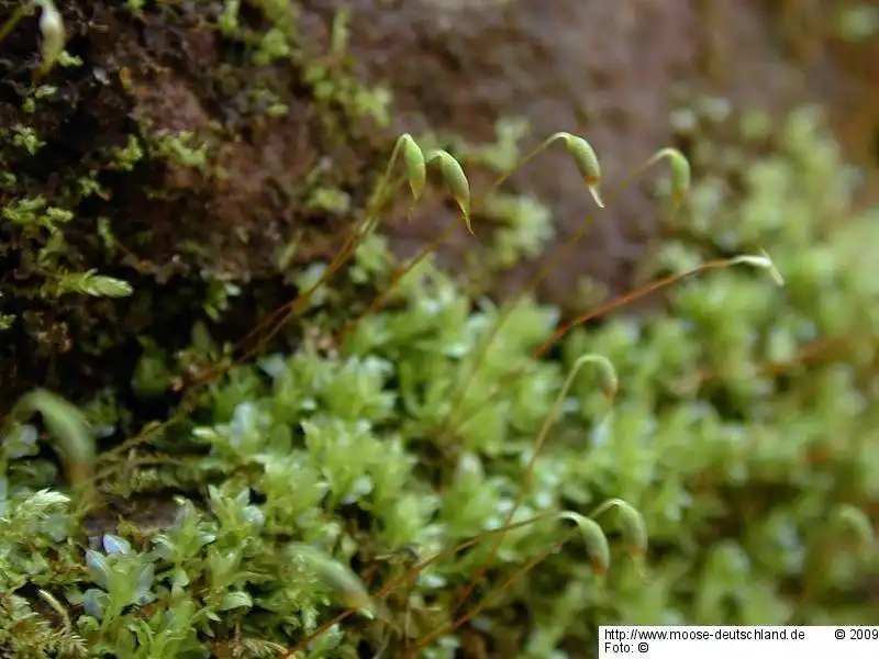 Habitus | Foto von Michael Lüth