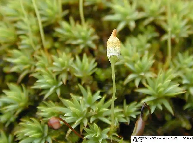 Habitus | Foto von Michael Lüth